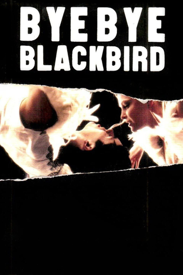 Bye Bye Blackbird Poster