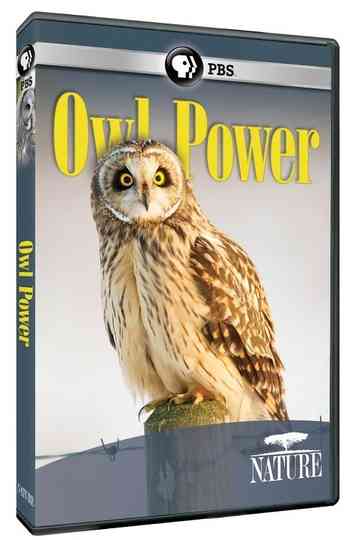 Owl Power poster
