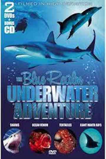 Ocean Odyssey: The Blue Realm Poster