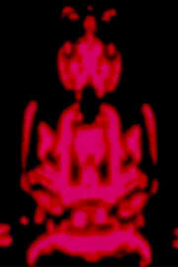 The Star Curtain Tantra