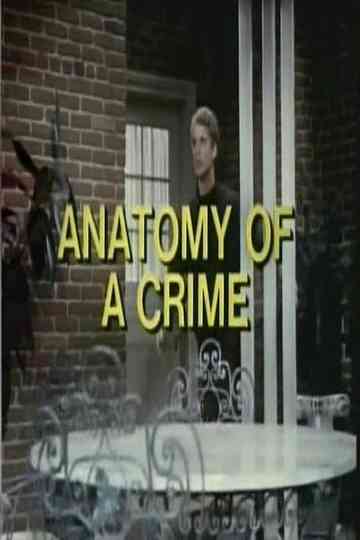 Anatomy of a Crime Poster