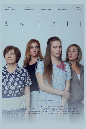 Sněží Poster