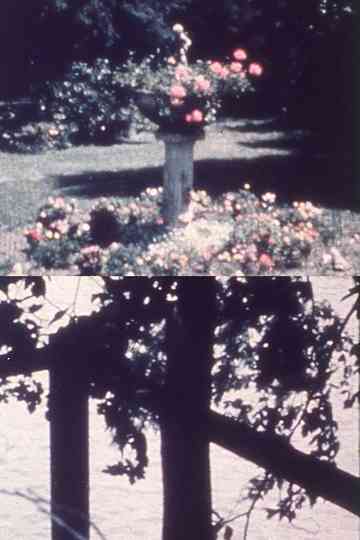 A Reticule of Love Poster