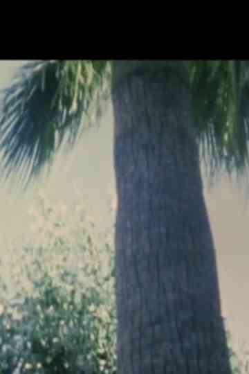 Turkish Delight Poster