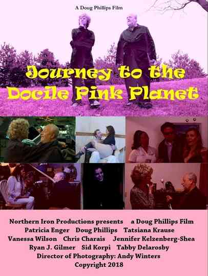Journey to the Docile Pink Planet Poster