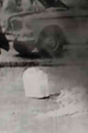 Dramatis Personae Poster