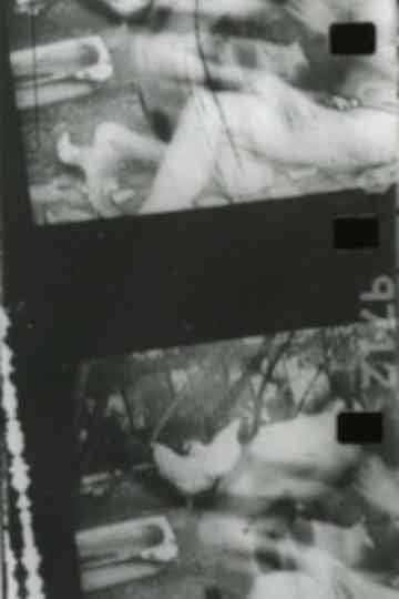 When Bodies Touch Poster