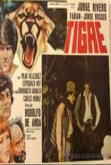 Tigre Poster