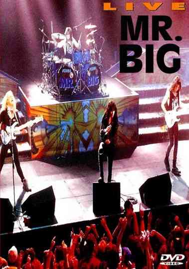 Mr Big Live Poster