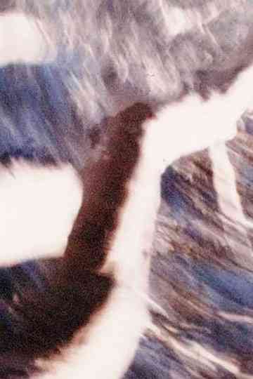 Earth Message Poster