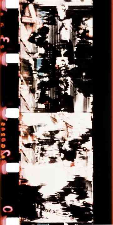 Bruine Squamma Poster