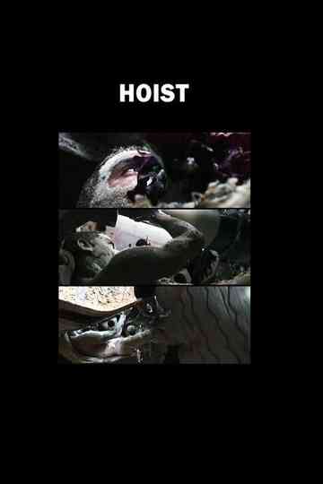 Hoist Poster