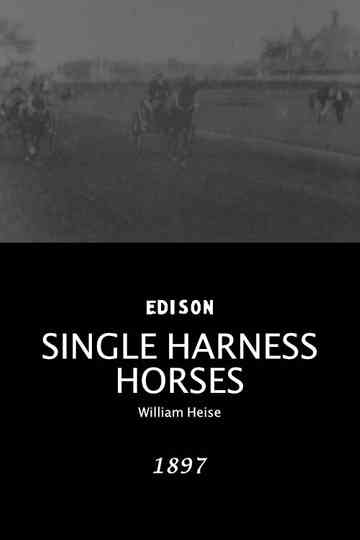 Single Harness Horses Poster