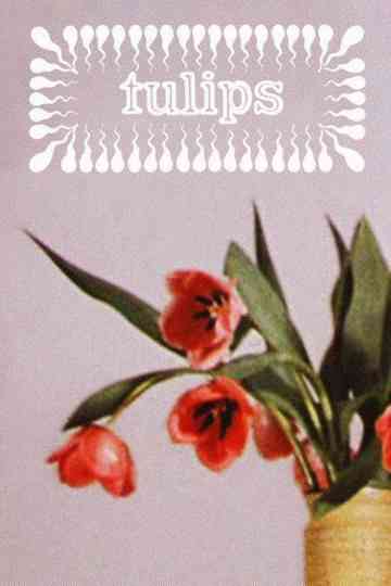 Tulips Poster