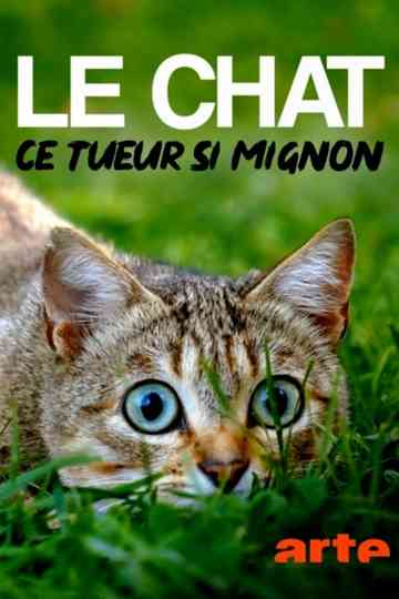 The Cat: A Cuddly Killer Poster