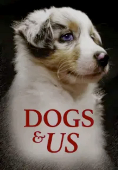 Dogs and Us: The Secret of a Friendship