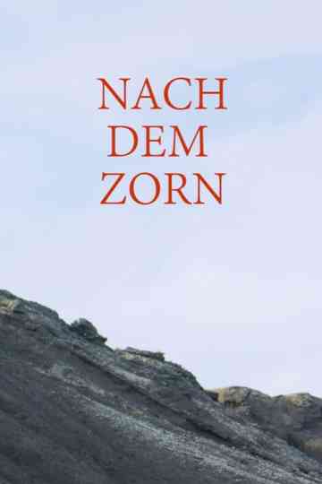 Nach dem Zorn Poster