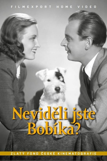 Neviděli jste Bobíka Poster