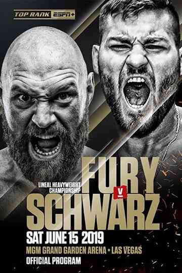 Fury vs Schwarz Poster
