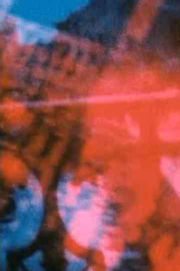 Blue Venice / Red Hotel Poster