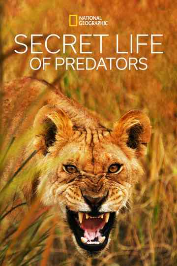 Secret Life of Predators poster