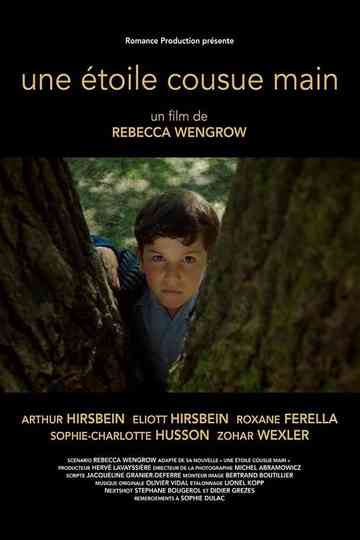 A Hand Sewn Star Poster