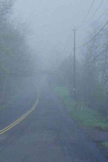 Wilie and Brewsie Poster