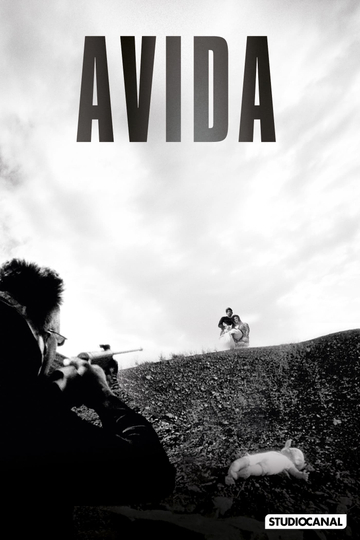 Avida Poster