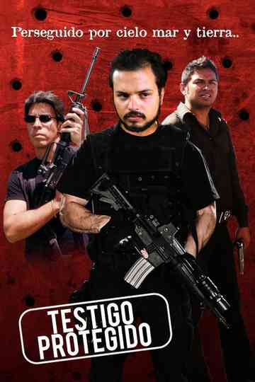 Testigo protegido Poster