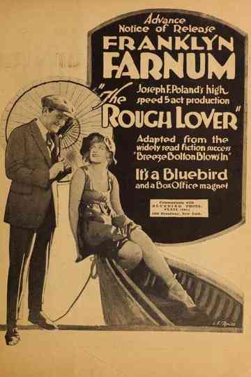 The Rough Lover Poster