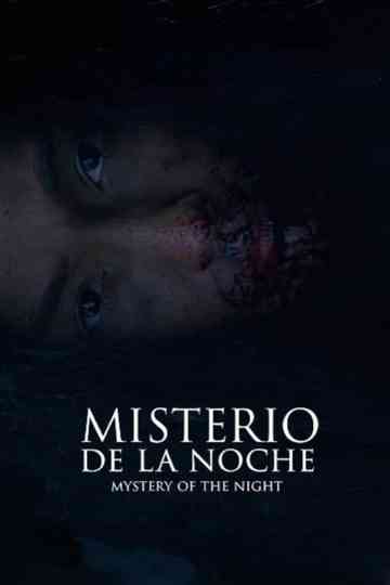 Mystery of the Night Poster