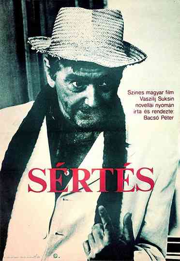 Sértés Poster