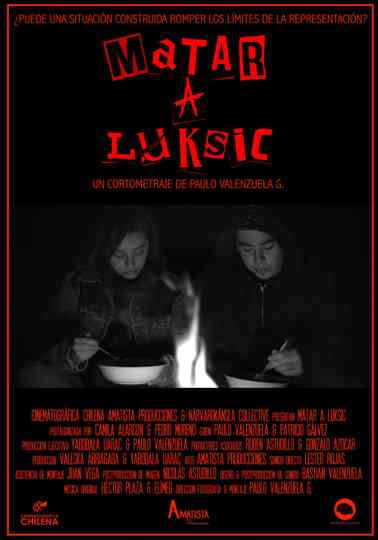 Matar a Luksic Poster