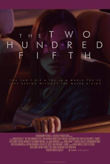 The Two Hundred Fifth Poster