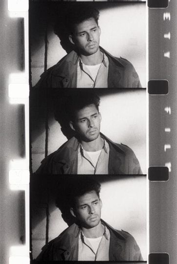 Chutes de Feuilles d’été