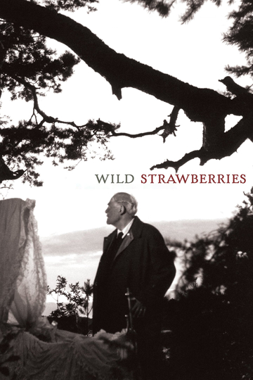 Wild Strawberries Poster