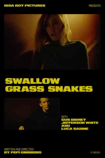 Swallow Grass Snakes Poster