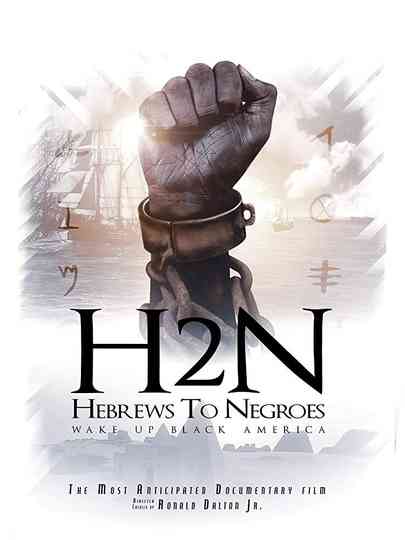 Hebrews to Negroes Wake Up Black America Poster
