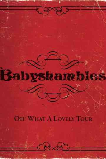Oh! What a Lovely Tour - Babyshambles Live Poster