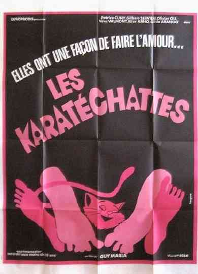 Les pornochattes Poster