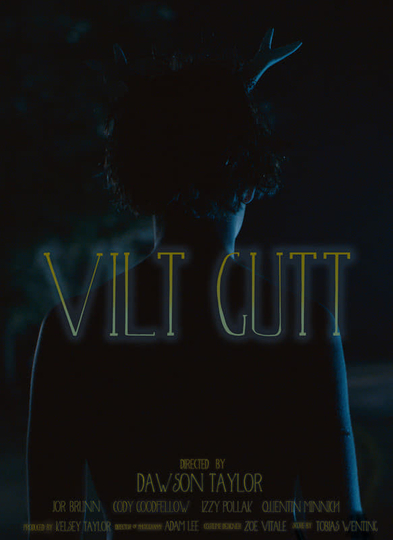 Vilt Gutt Poster