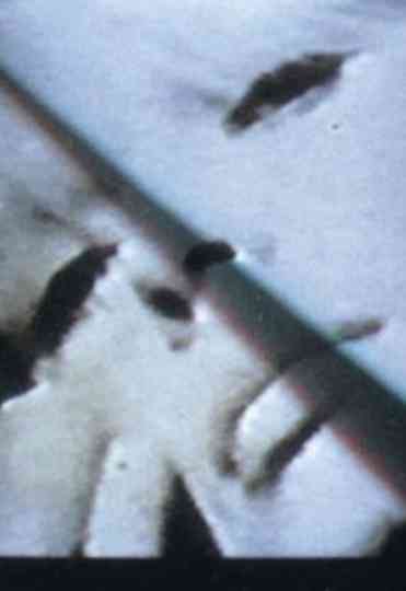 Nico In Memoriam Poster