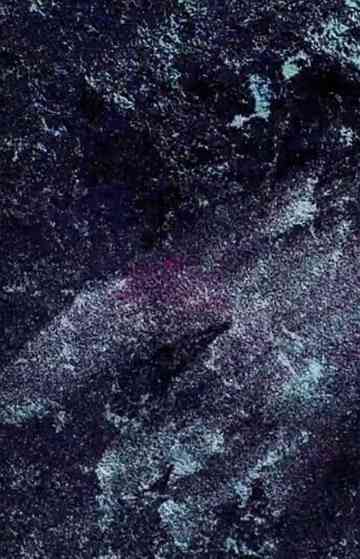 Mille Regretz, live Poster