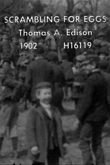 Scrambling for Eggs Poster