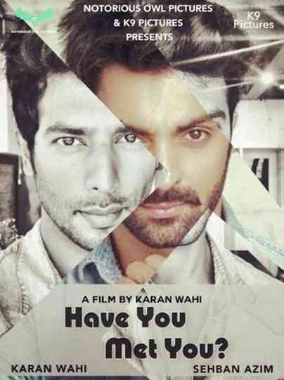 Have You Met You Poster