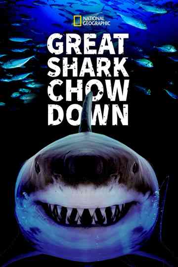 Great Shark Chow Down Poster