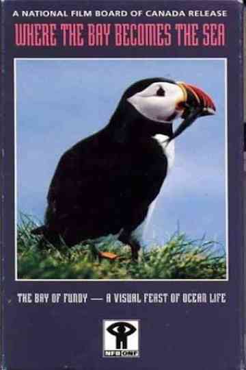 Where the Bay Becomes the Sea Poster