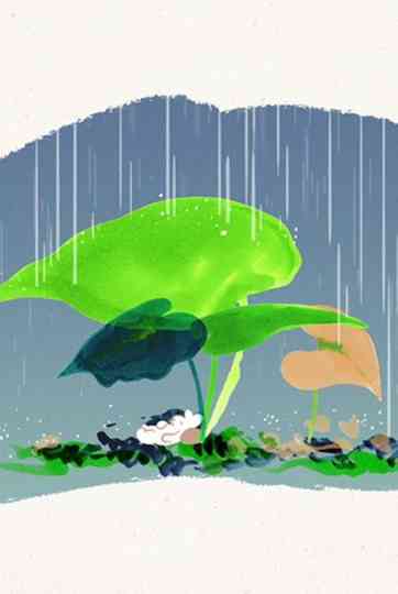 Wander in Wonder Poster