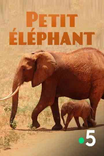 Small Elephant Poster