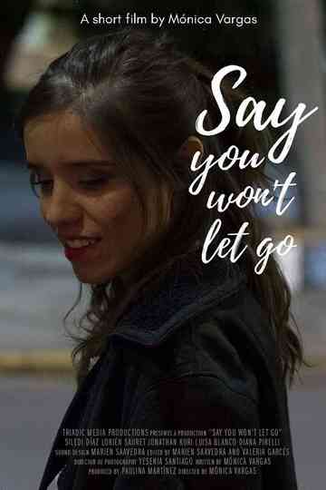 Say You Wont Let Go